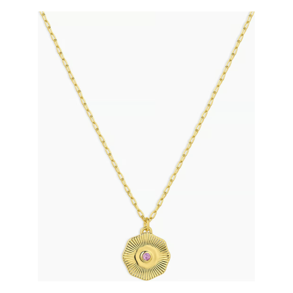 Birthstone Coin Necklace - February